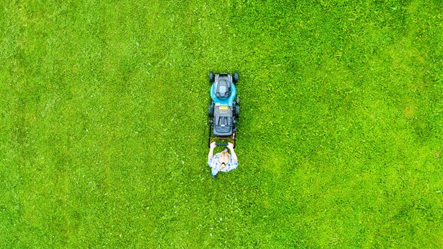 Beautiful girl cuts the lawn. Mowing lawns. Aerial view beautiful woman lawn mower on green grass. Mower grass equipment. Mowing gardener care work tool. Close up view. Aerial lawn mowing