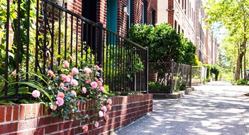 The Importance of Curb Appeal