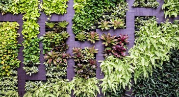 Wall decoration of vertical garden