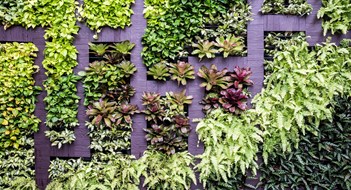 Green Walls, Water Features, & More Wall decoration of vertical garden