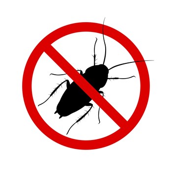 Anti-cockroach icon, pest control, destruction of parasites, stop insect , black contour, isolated, white background