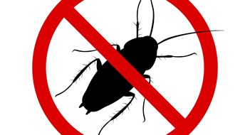 Anti-cockroach icon, pest control, destruction of parasites, stop insect , black contour, isolated, white background