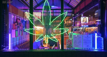 Smoke Shops as Commercial Tenants? Bangkok, Thailand – January 09, 2023: In Thailand, Cannabis, known by the name Ganja was decriminalized in 2022, and weed cafes and dispensaries have since become common across the country