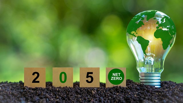 Net zero by 2050. Carbon neutral. Net zero greenhouse gas emissions target. Climate neutral long term strategy. No toxic gases. save world save life.