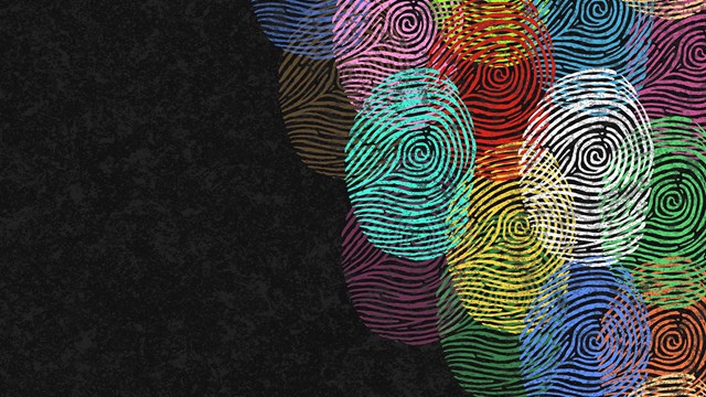 Diverse Identity Design group of multicolored fingerprints together as a beautiful tapestry of humanity as core values of creativity diversity inclusion belonging and multiculturalism or forensics icon.