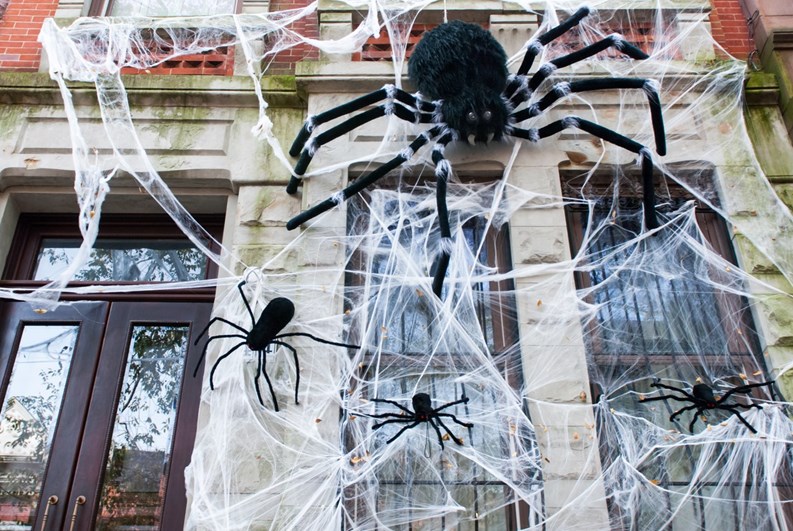 "Three big black spiders as decoration on a wall, window grids, and an entrance door of an American house for a Halloween party. A huge spider web around covering whole house. Halloween in Manhattan, New York City."