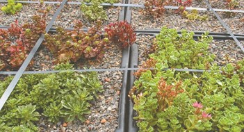 A Look at Green Roofs