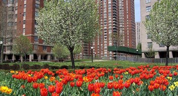 A Look at the South Bronx A Look at the South Bronx