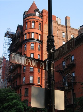 Leisure, Literatire and Love - The Heights of Brooklyn Heights