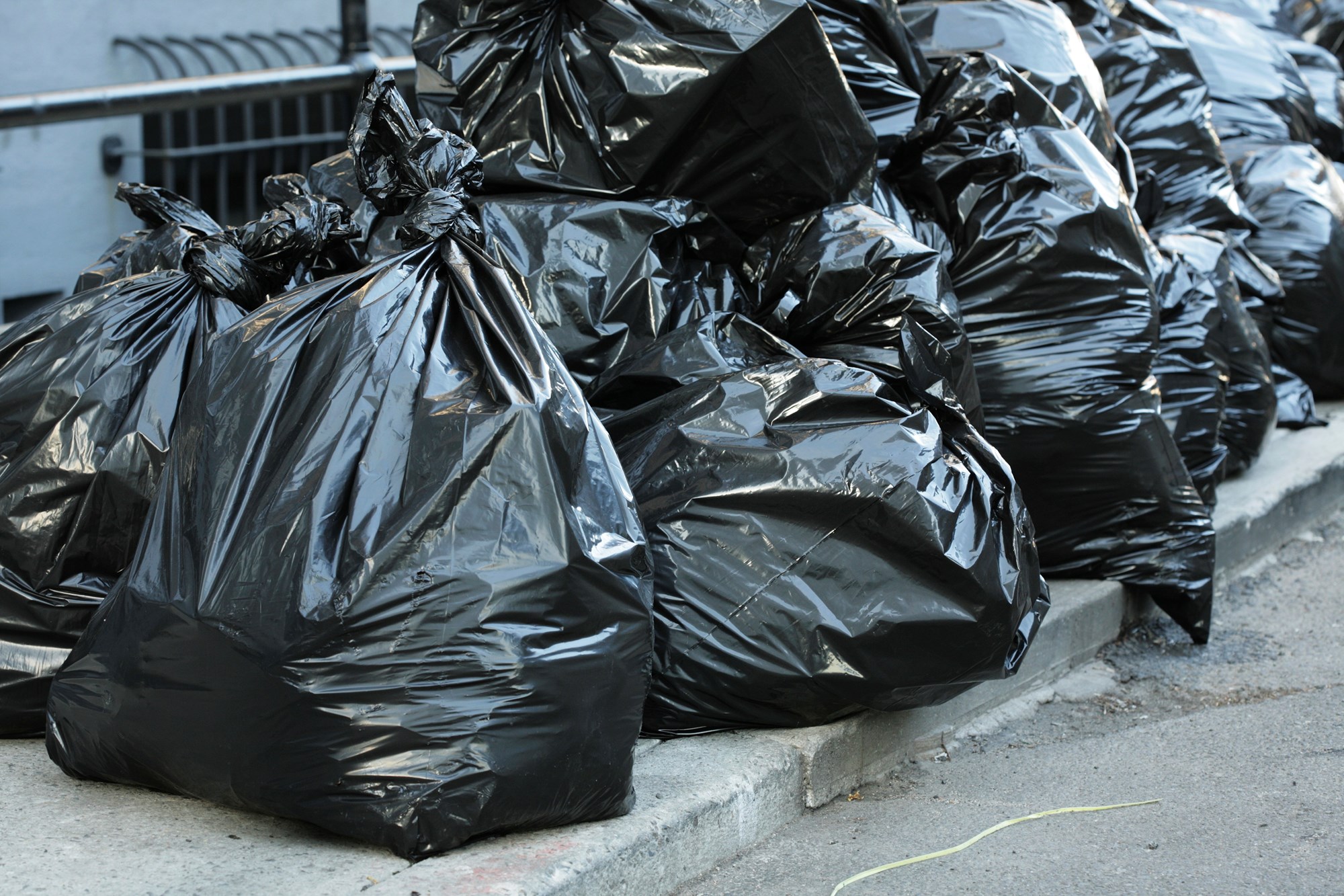 Recycling bags store nyc