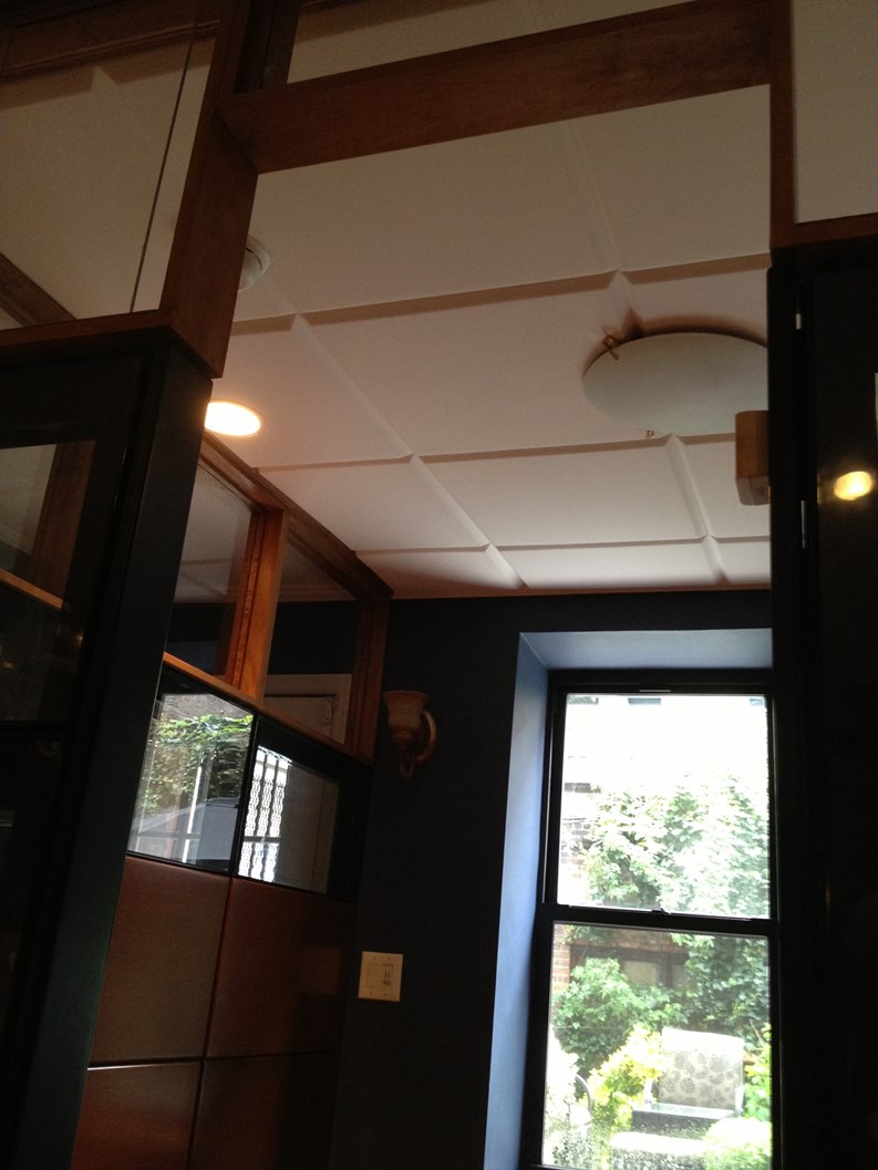 Soundproofing Ceilings In Condos Shelly Lighting