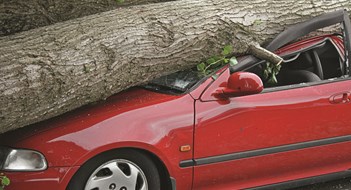 Insurance Law Insurance Law
