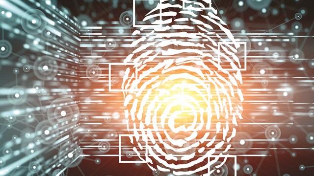 Maintaining Common Area Safety & Security